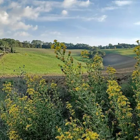 In Podere Con Piscina Torrita di Siena