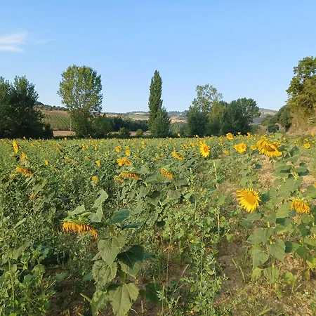 In Podere Con Piscina Appartement *