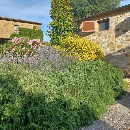 Apartment In Podere Con Piscina