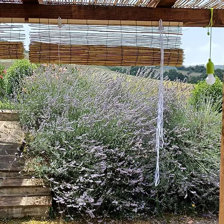 In Podere Con Piscina Apartment *