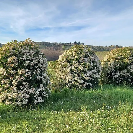 In Podere Con Piscina * Torrita di Siena