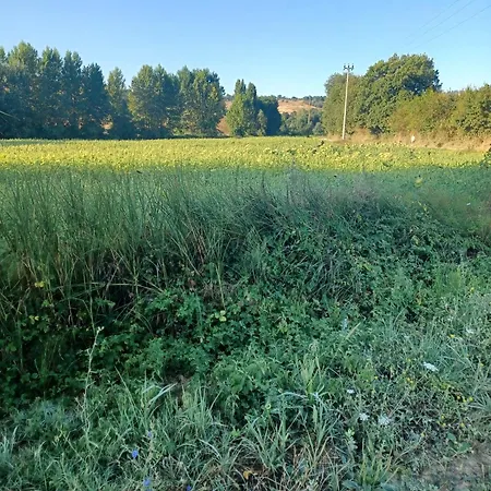 In Podere Con Piscina Appartement