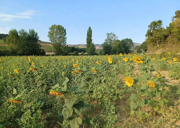 In Podere شقة *