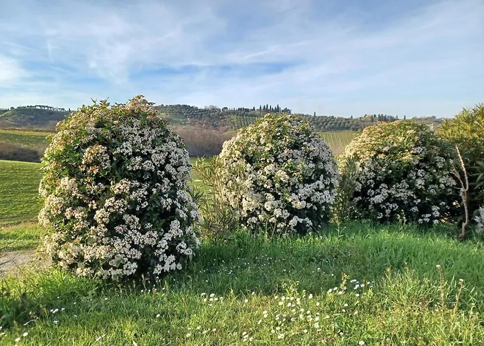 In Podere * توريتا دي سيينا