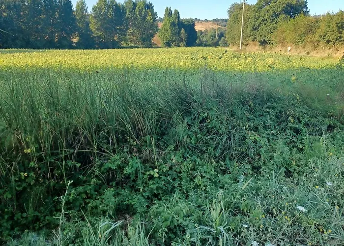 In Podere شقة